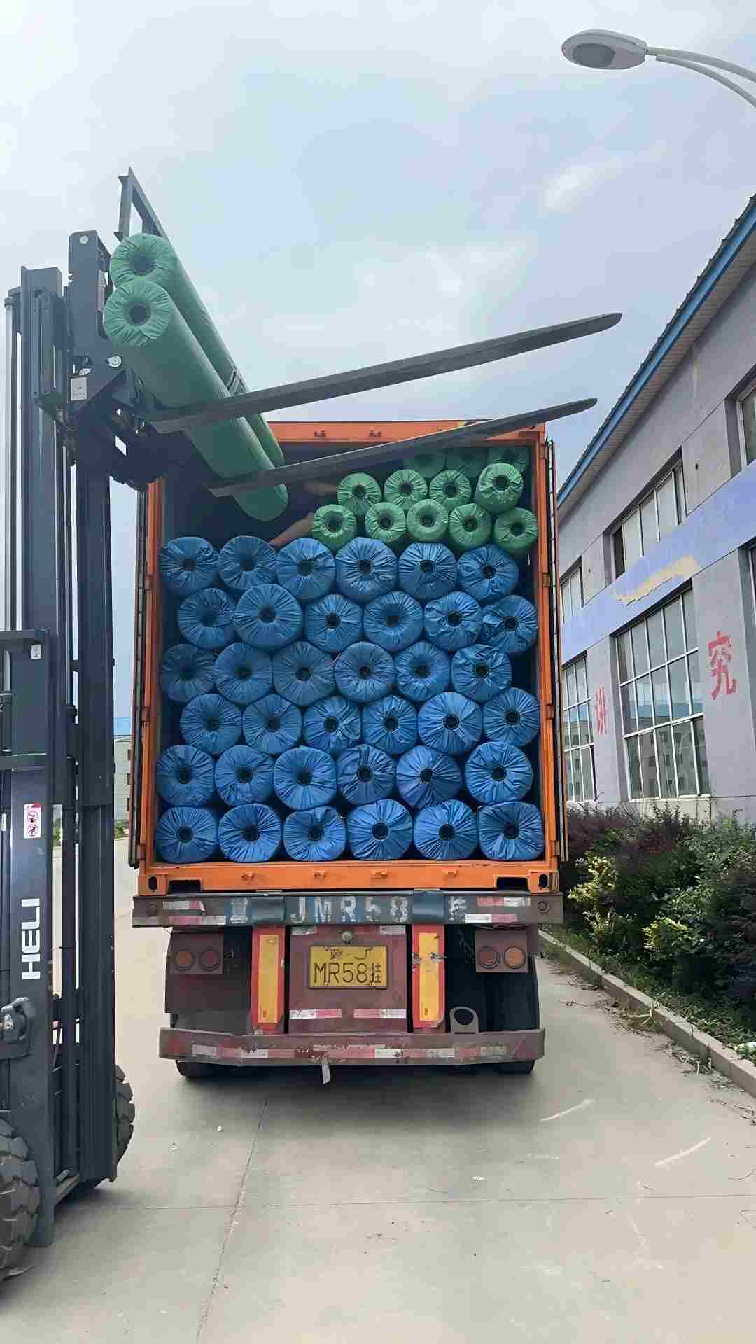Global delivery container 10