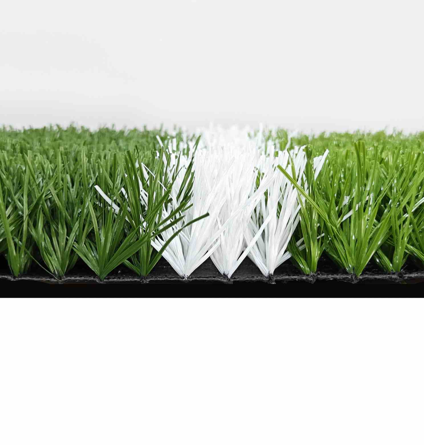 Sports Grass