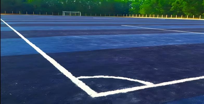Custom sports grass