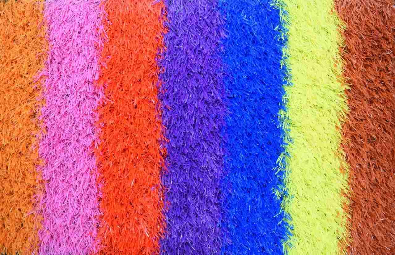 Decorative Colorful Grass