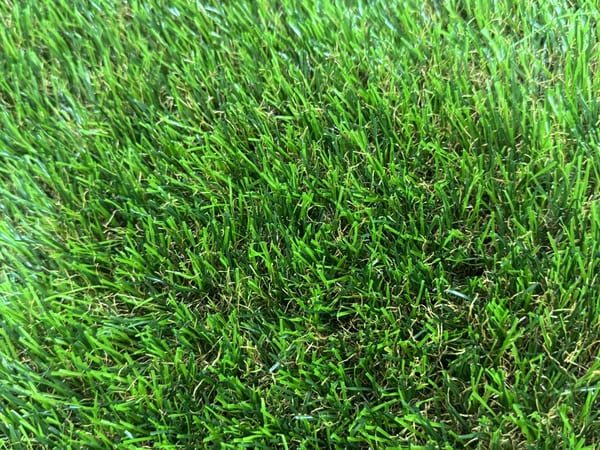 Economy Series Grass