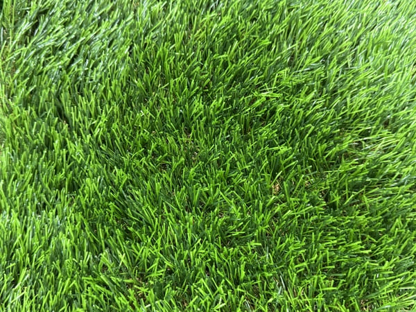 Commercial Grade Grass