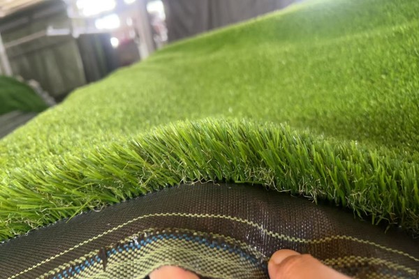 Do seeds grow on artificial turf?
