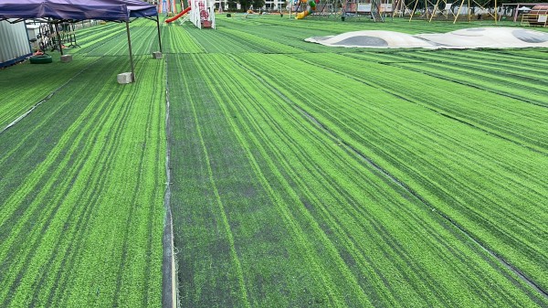 Common complaints about fake grass