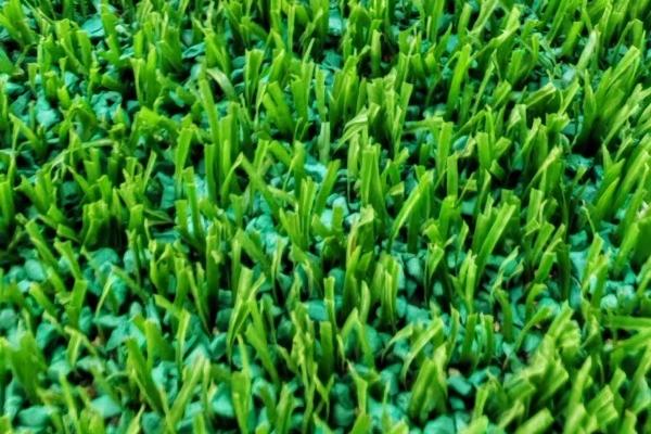 Rubber Infill on Artificial Turf