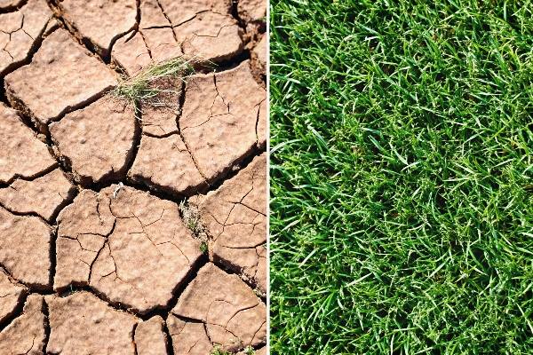 Close-up of durable, heat-resistant artificial turf fibers
