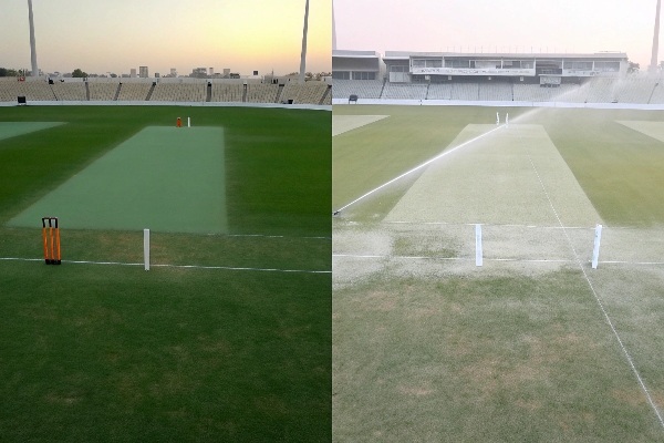 Is artificial grass better in cricket than natural grass?