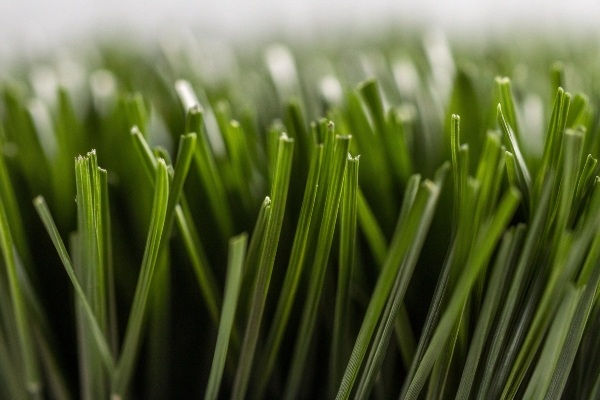 Can bugs live in artificial grass?