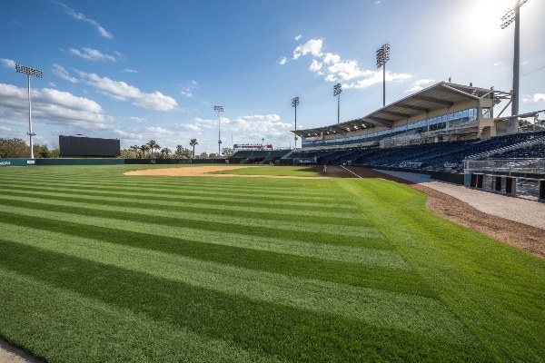 Do all baseball stadiums have artificial turf?