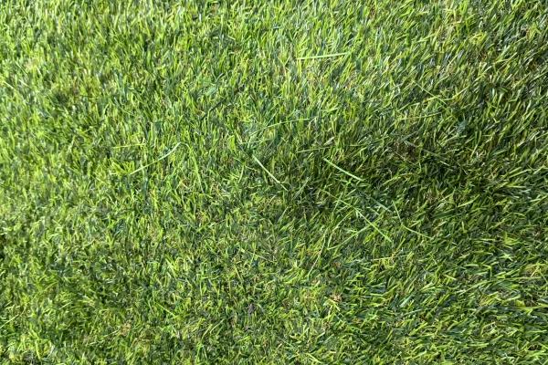artificial grass fiber pilling and powdering