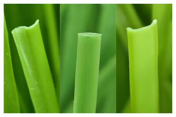 Different yarn shapes and colors for artificial grass