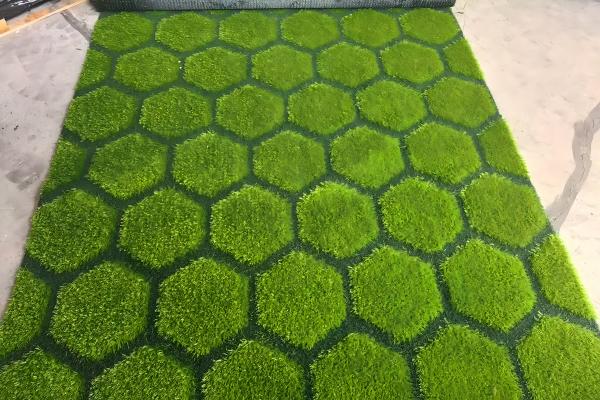 realistic 3D grass blade shapes and colors