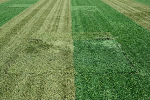 artificial turf with uneven color strips