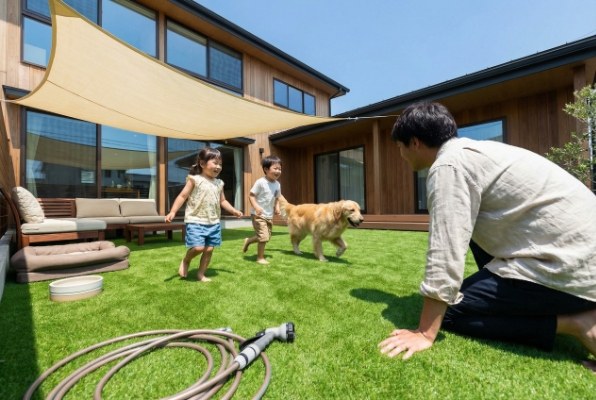 pets playing on artificial grass