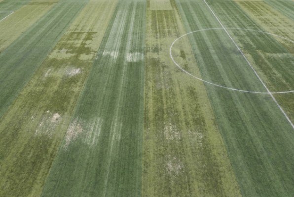 Uneven turf color
