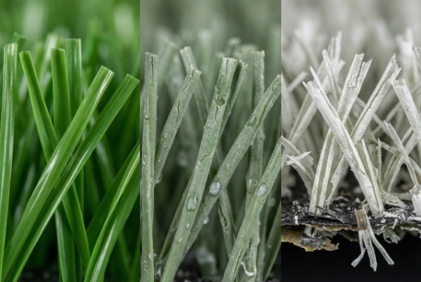 Microscope view of damaged grass fibers