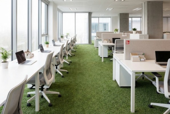Modern office space with artificial grass flooring