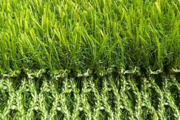 Interlocking root system preventing dogs from digging