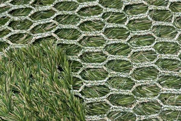 Can Hybrid Turf Help Grass Grow?