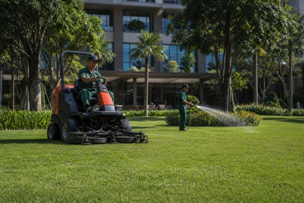 maintaining hybrid grass in a commercial landscape project