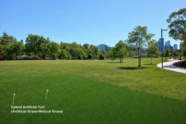 What is a hybrid turf grass field?